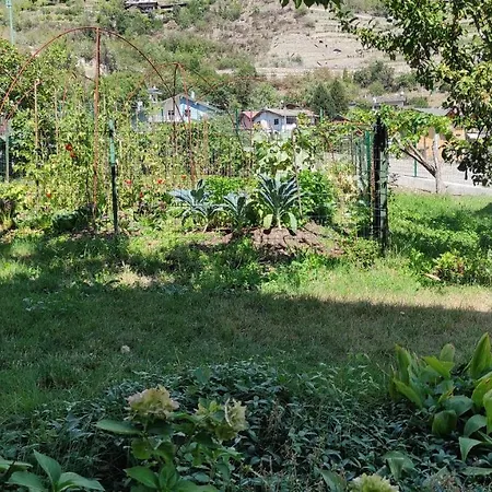 Casabella Silvana-3